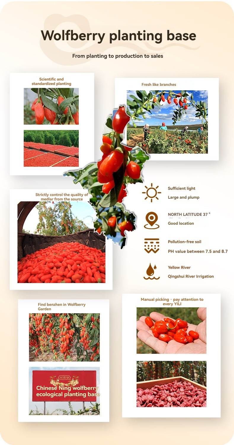 Ningxia Red Goji Berry Dried Wolfberry Gou Qi Zi Premium Grade 258g Jar quality and texture