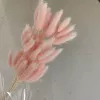 Light powder rabbit tails around 60 pieces