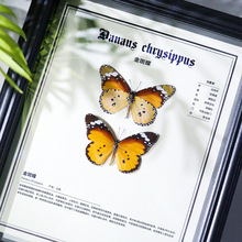 ��ߵ���Ȼ���������˱��b��[���߼��쮋�������������նY��