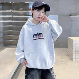 童装男童秋季2025新款中大童洋气休闲宽松外穿连帽百搭卫衣男孩潮