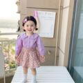 女童套装秋装新款韩版婴幼童花边领长袖衬衫碎花半身裙两件套批发