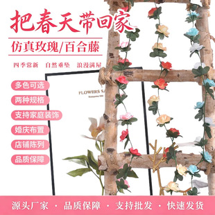 �羳���l����õ�廨�ٰٺϻ��ٻ�c���üҾ��ړ��b����滨�ٻ�