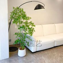 ����Gֲ����������҃����Դ��ͷ���ֲ��[���͏d�p���b��٘�