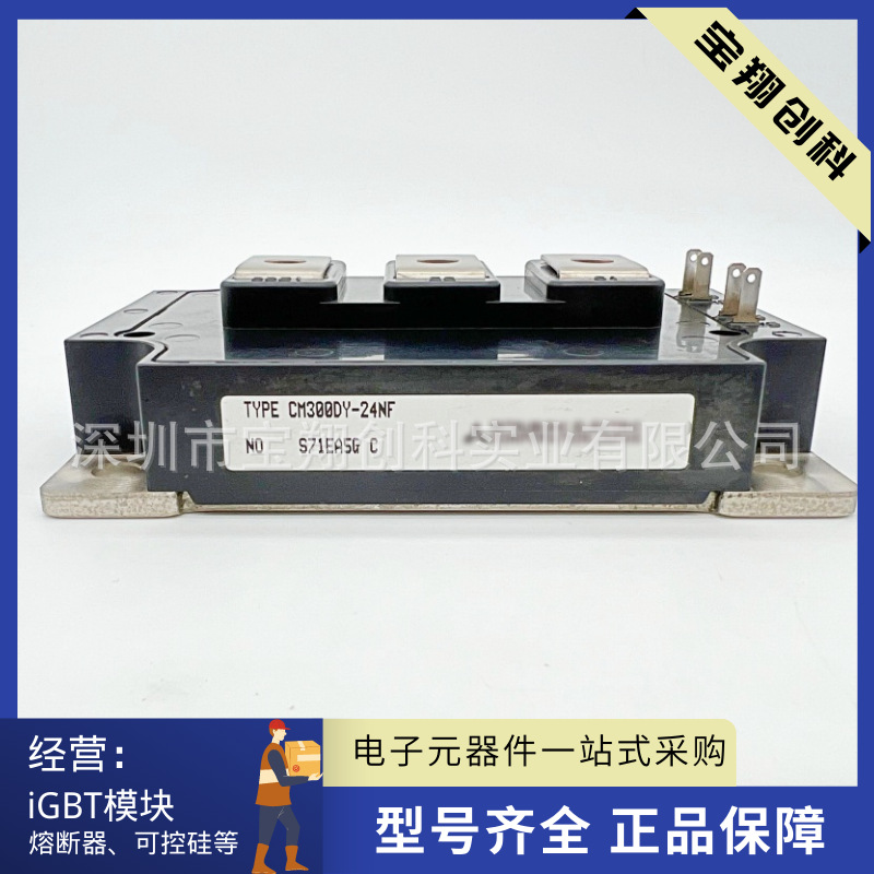 CM300DY-24NF CM400DY-24NF CM200DY-24NF 150DY-24NF 100DY-24NF