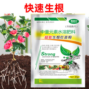 ������Ǥ�����Դ������Һ�������焩�߲˿����������仨��������