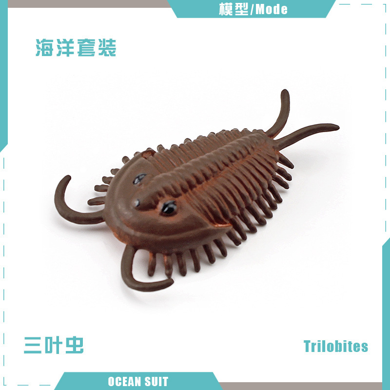 BL-5164 trilobite 6G