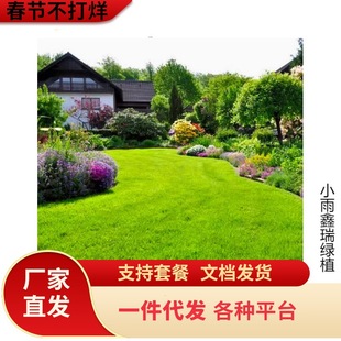 ����é�M�ڲݷN��ƺ�N�Ѹ���ë�ļ����o�²ݹ����������ݷN�Ӱ��]