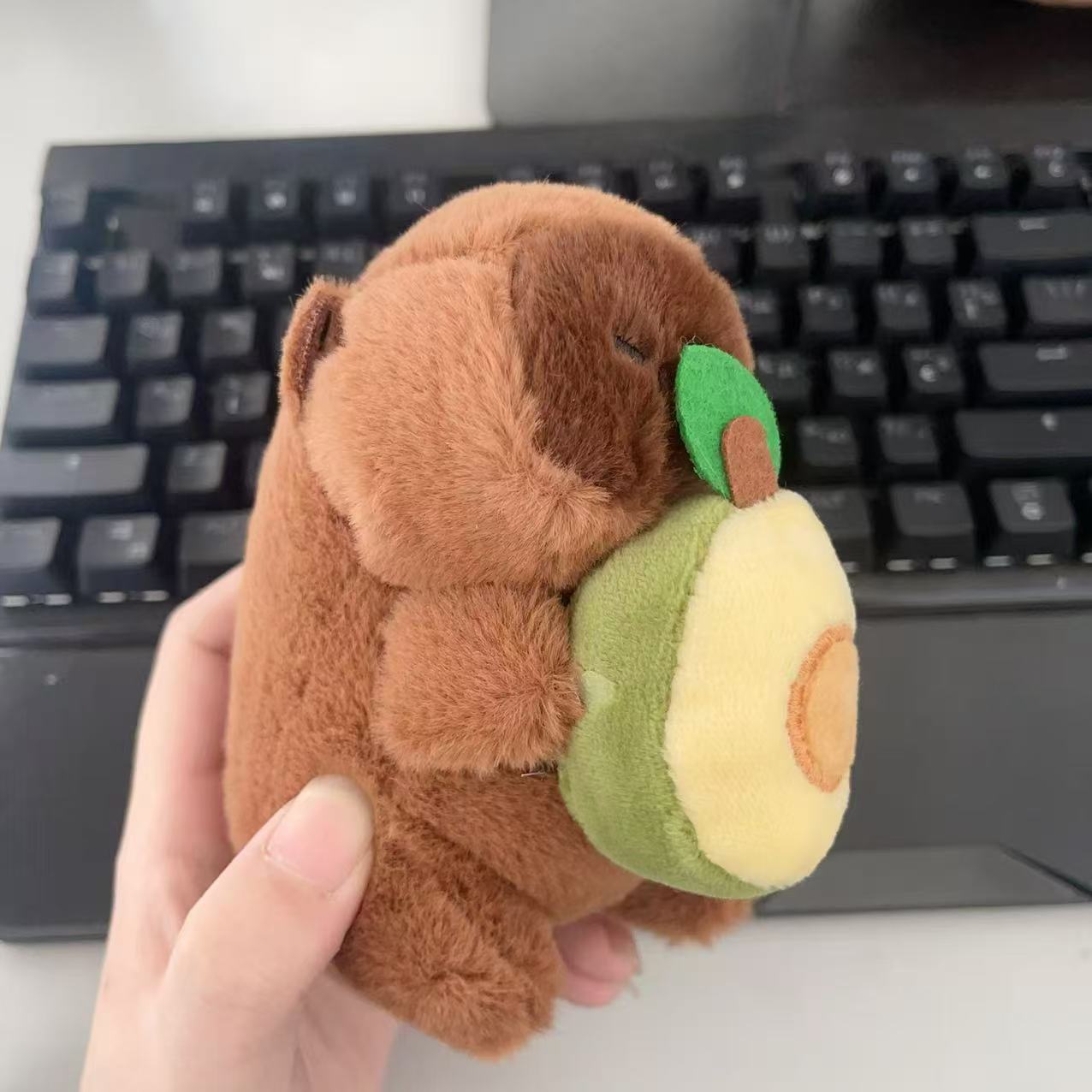 仏陀系の萌えはかわいいカピバラの君をかわいがります。