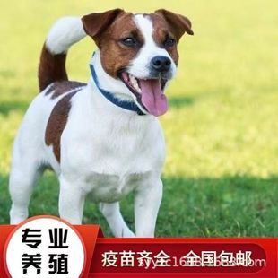 �pѪ�y�ܿ��_�ع�С�����CȮ���N�ܿ��_�ع�Ȯ��Ȯ���w���B����Ȯ
