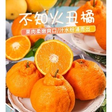 粑粑柑四川不知火丑橘新鲜丑八怪橘子桔子柑橘整箱10斤批发现摘