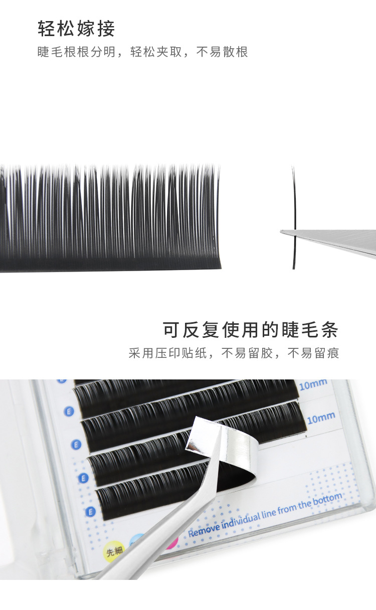 单根扁毛双尖扁毛 单根扁毛双尖扁毛