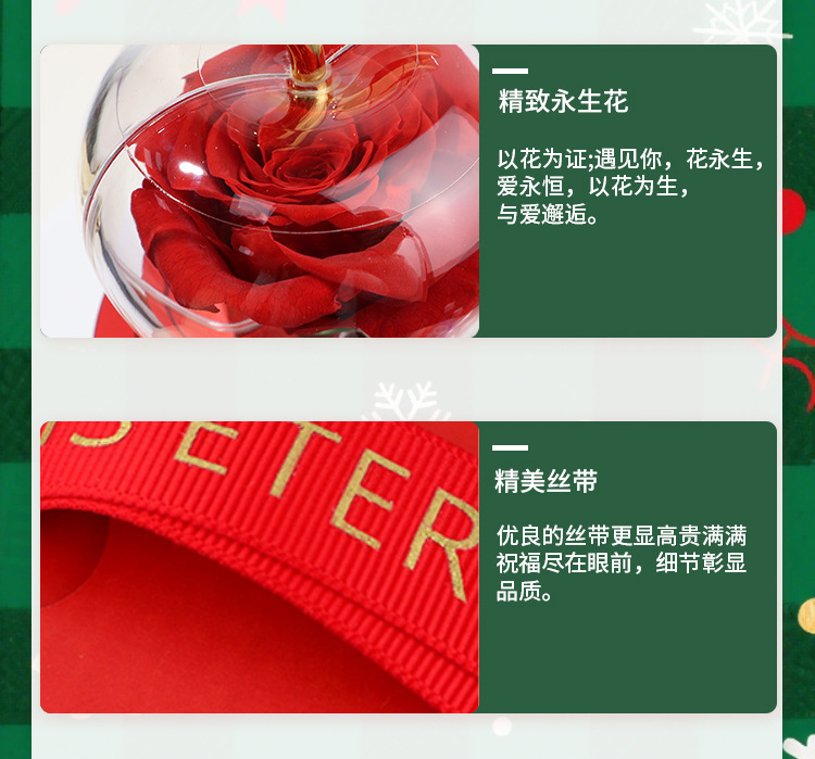 圣诞节首饰礼盒