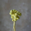 Light yellow (20 pieces in a bunch)