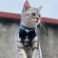 犬用リード、子猫、子猫用リード、ペット用リード、小型犬、猫、小型犬用リード