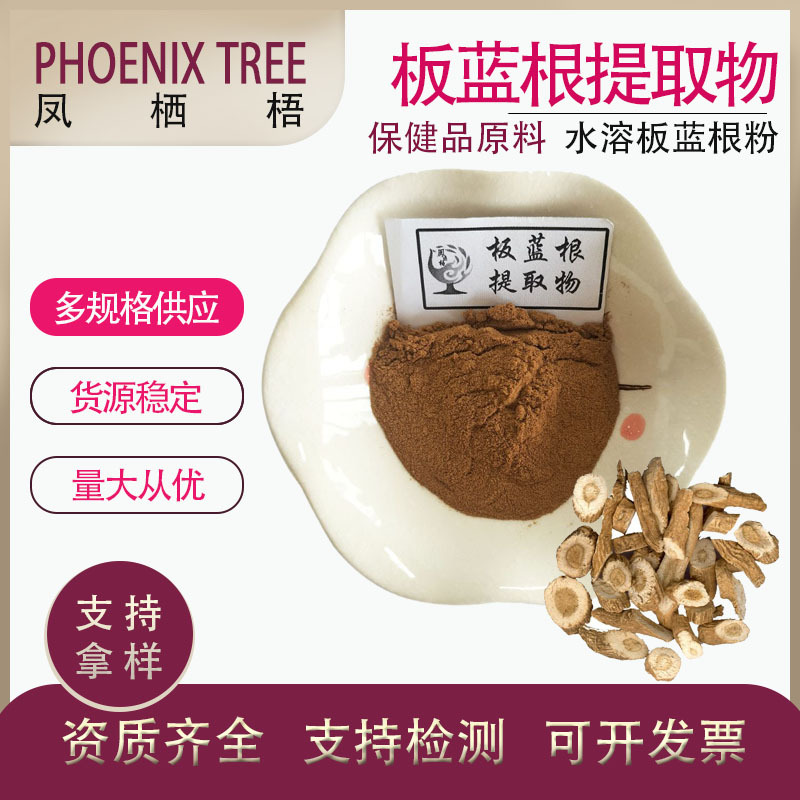 食品级水溶性板蓝根粉 板蓝根萃取粉比例提取物 10:1板蓝根提取物