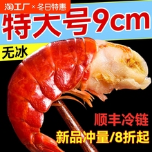 大号龙虾尾冷冻鲜活小龙虾无冰衣龙虾尾虾球鲜冻批发生鲜整箱