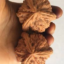 �ת{��ƴ����������Ҵ����l��Ů�Y����{���ղ������ְѼ�