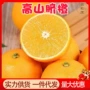 赣南四川新鲜正宗脐橙