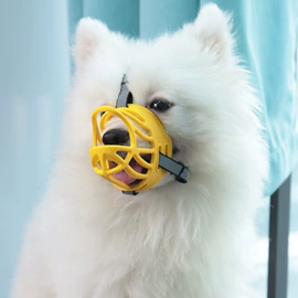 狗狗食具;狗狗玩具;狗狗清洁