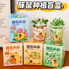 卡皮巴拉盆栽儿童种植小盆栽水豚桌面摆件幼儿园礼物创意小礼品