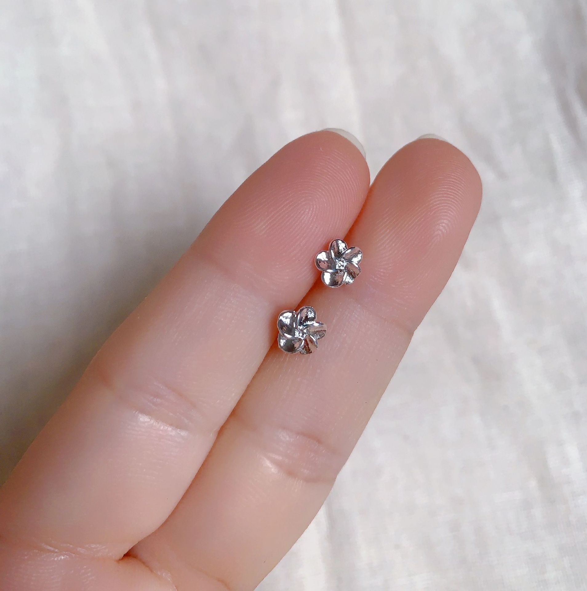 다섯 개의 꽃잎이 있는 꽃