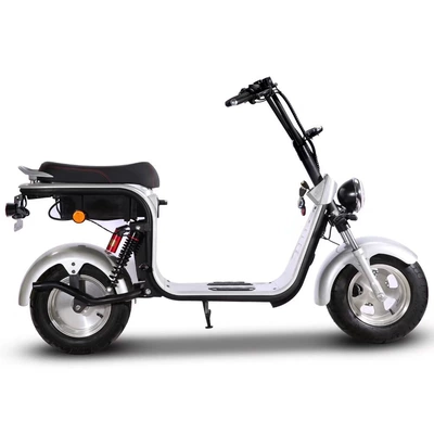 Electric Scooter, Elektrikli motosikletlər