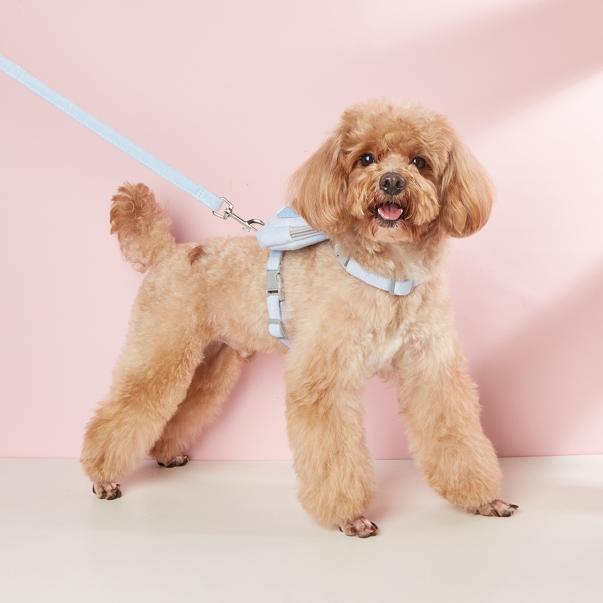 Mochila de dibujos animados chaleco estilo cachorro Correa perro pequeño perro caminando cuerda gato cuerda para caminar gato suministros para mascotas