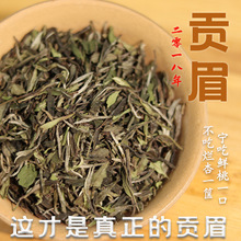 Ұؕü ȺwNС˲С 100ɢؕü