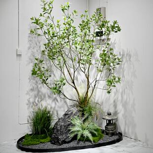 �e���������g�bپGֲ�b�������ʽ�쾰ͥԺ�҃ȷ��滨�ݔ[��