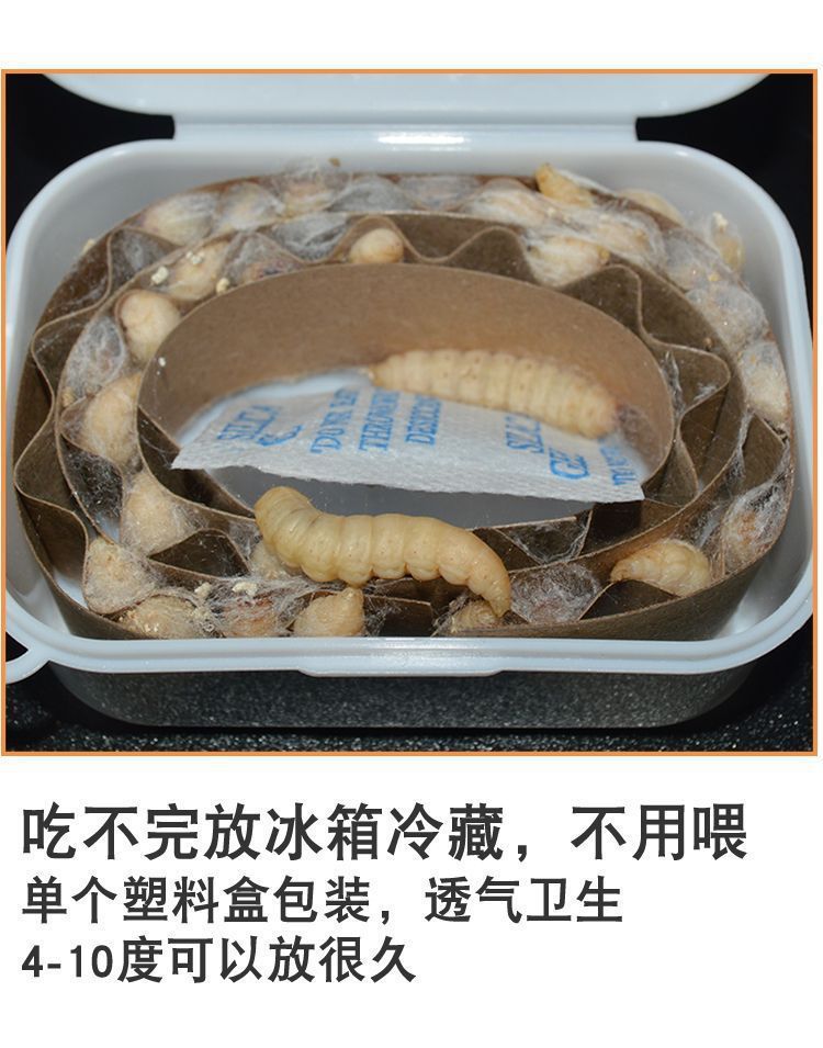 一键上货_20241007174736