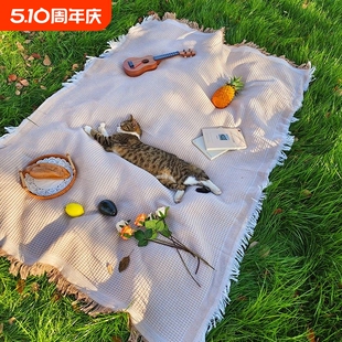 Beach Mat picnic mat moisture-proof mat outdoor blanket tent white park camping mat French picnic cloth spring