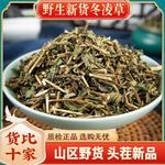 野山冬凌草500g克新鲜王屋山济源冬凌咽喉草泡茶泡水冰凌草真货好