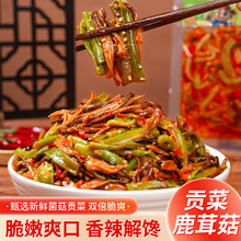 饭馋馋贡菜鹿茸菇即食香辣味脆嫩下饭咸菜卤味网红追剧小零食菜拌
