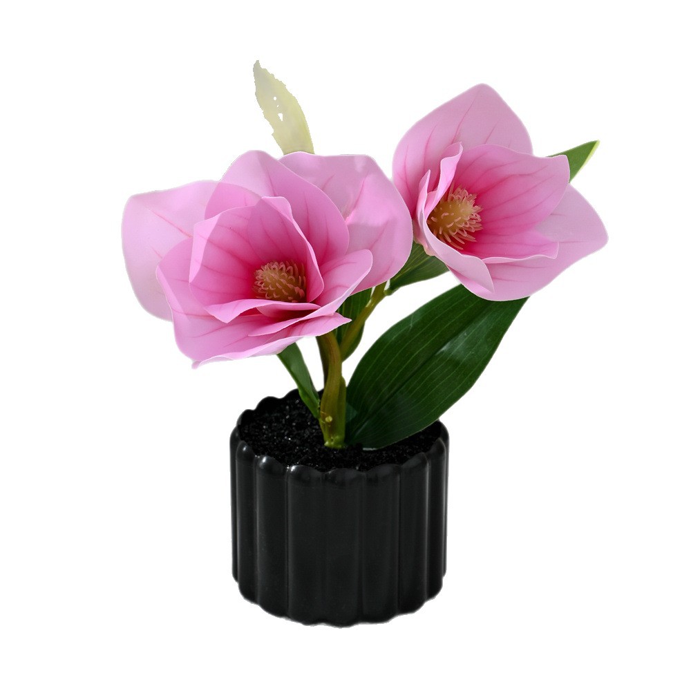 Dos dientes cinco flores sensación de mano pequeña orquídea mariposa imitación bonsai flores falsas decoración del hogar fotografía flores artificiales flores de boda image 6