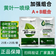 黄叶一喷绿叶面肥叶绿素水溶肥提苗壮棵增绿果树蔬菜花卉用一喷绿
