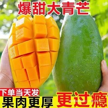 越南大青芒果新鲜水果玉芒果特大甜心芒果金煌芒整箱当季青皮