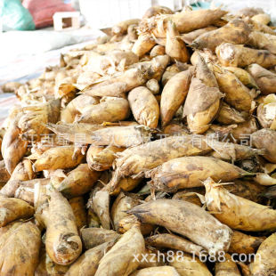 ���S���r�F�ڬF�l����ë��SС�S����S�����r������r�S��ƷС��