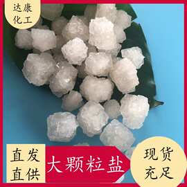 日晒大颗粒粗盐 工业级工业盐 工业用大颗粒工业盐供应现货