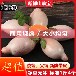 �����r�����������غ�������������������ӟ���ʳ��������