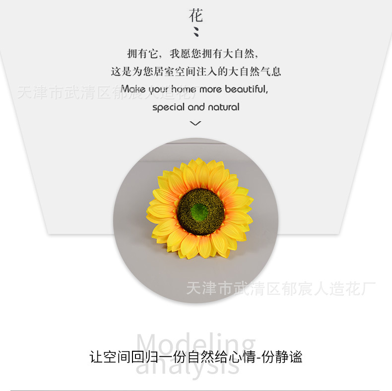 向日葵花朵_04.jpg