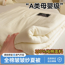 A�ĸ�뼉ȫ�ް������ě������޴󶹿��{�����˼�ɫ�p�Ӽ�����