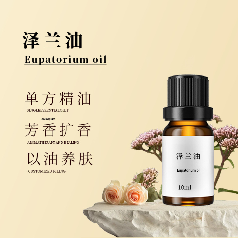 泽兰油10ml美容院身体按摩护肤精油纯植物蒸馏压榨全草油