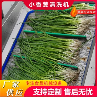 定制大型果蔬气泡清洗线全自动小香葱清洗机设备韭菜气泡清洗机