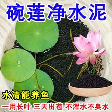 ��ϴ����ˮ��ɏ��ˮ�����҃�ͥԺ˯ɏ�~�X������ɰˮ���쾰������