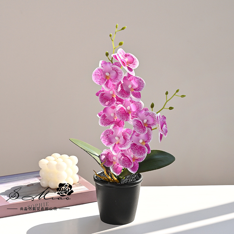 12 flores Phalaenopsis planta en maceta flor de simulación creativa decoración de estudio fotográfico para el hogar decoración planta verde artificial simulación planta en maceta