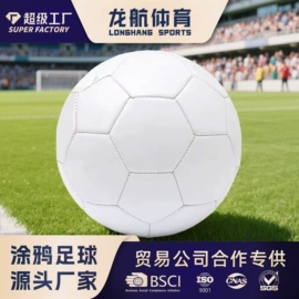 足球;篮球;排球