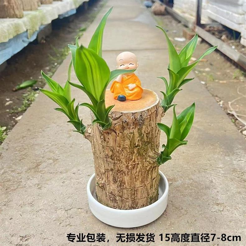 详情图