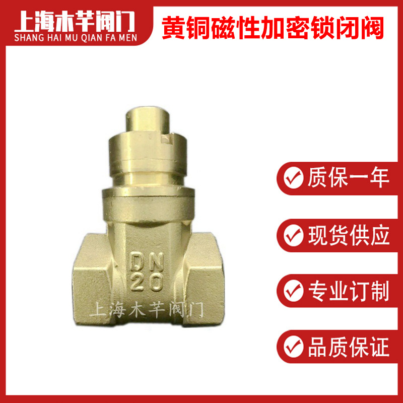 黄铜磁性加密锁闭阀表前丝扣锁闭阀自来水磁性锁闭闸阀