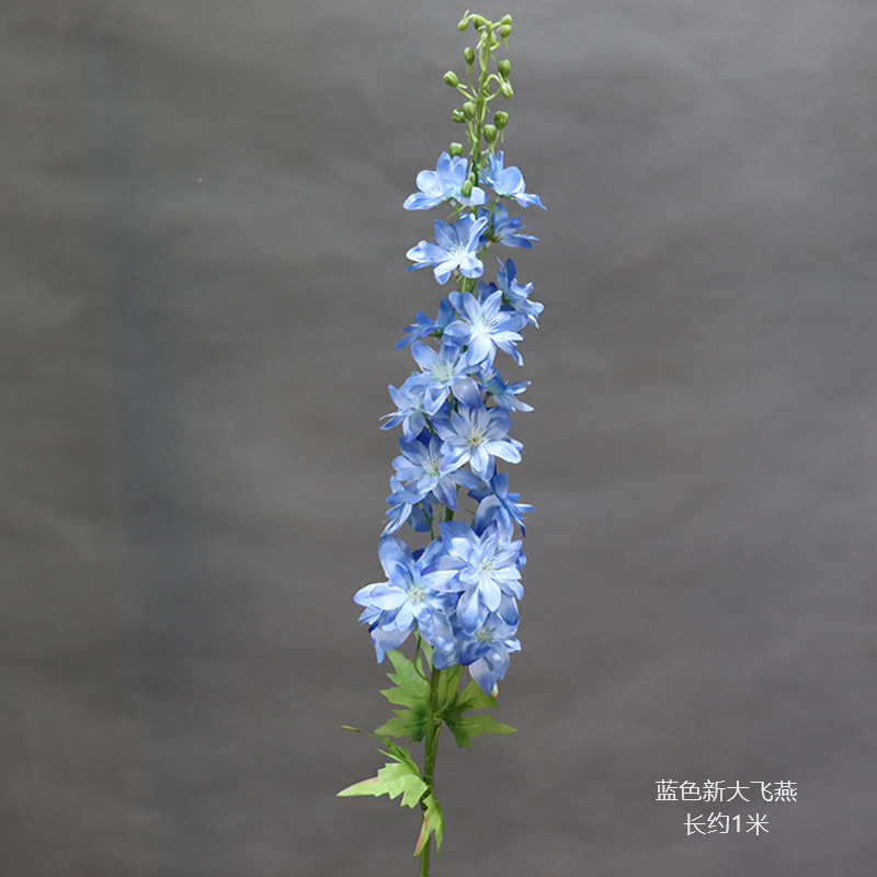 새로운 파란색 비행 제비의 가지