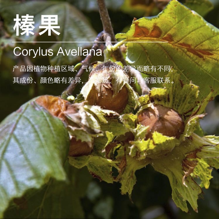 ���ҹ�Ӧ黹��� ���ѹե��ȡ  ������ԭ������ ��ӭ��ѯ�ɹ�